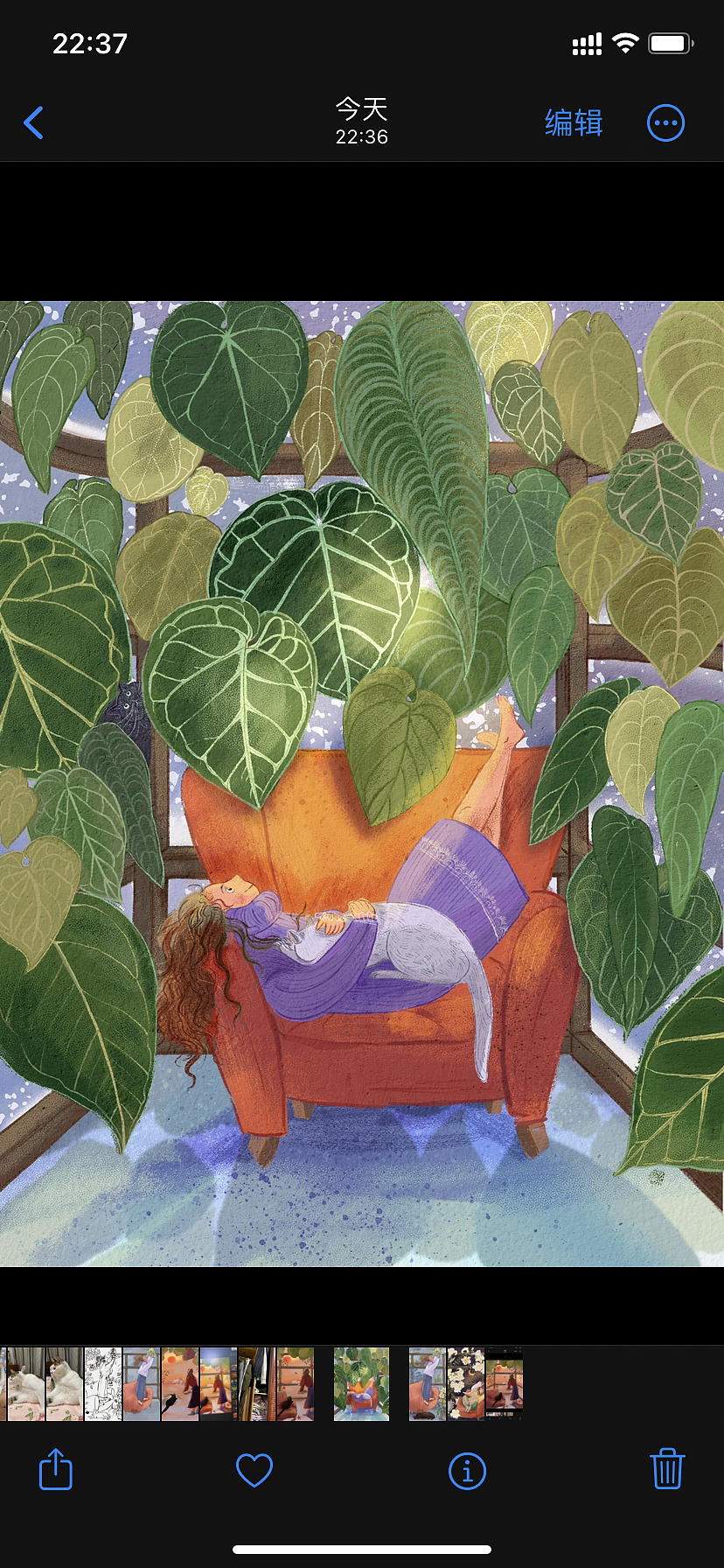 冬日暖阳的玻璃房中