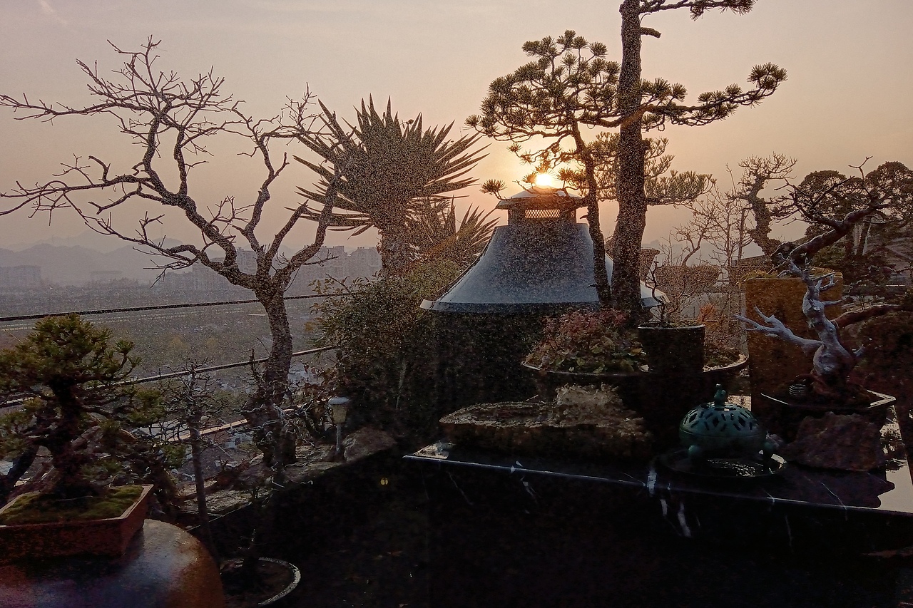 花园守护者—守り猫