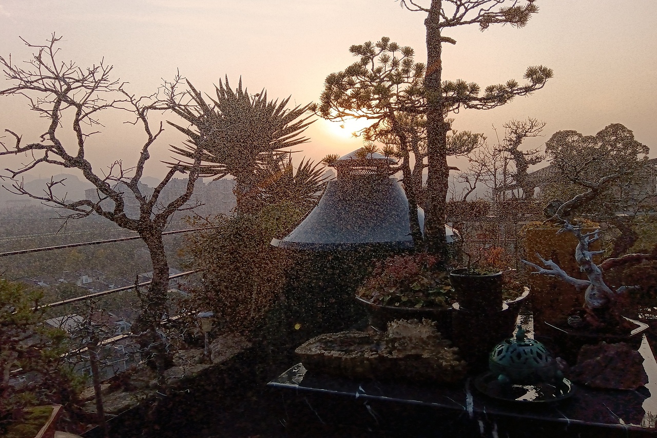 花园守护者—守り猫