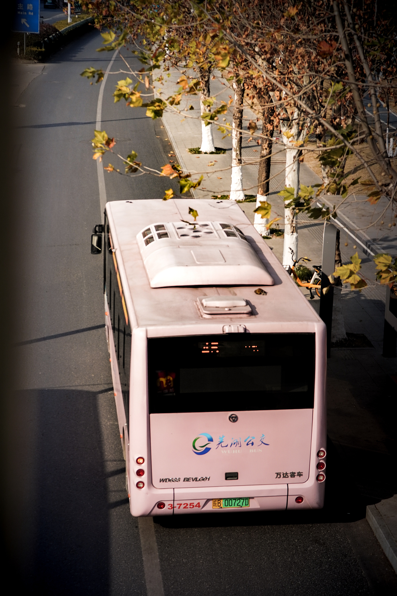 街拍中的艺术：捕捉城市的灵魂-25年1月5日街拍展示