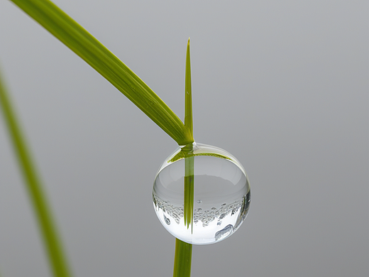 水珠
