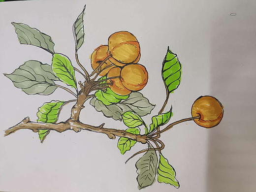 绘画分享（个人主页-ZNzExOTAzODA=） - 包装 - 站酷设计师不做设计的设计原创素材 - 站酷ZCOOL