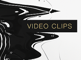 項(xiàng)目視頻2