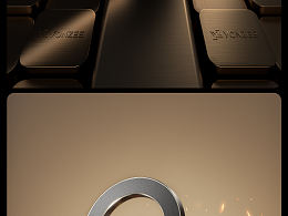 <b class='hightlight'>支架</b>