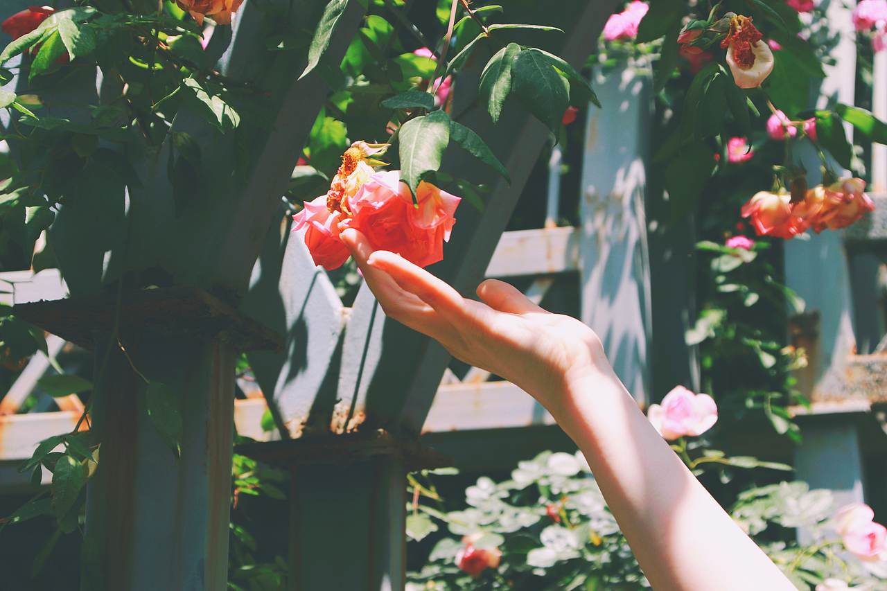 Nimo.All three times of beauty 