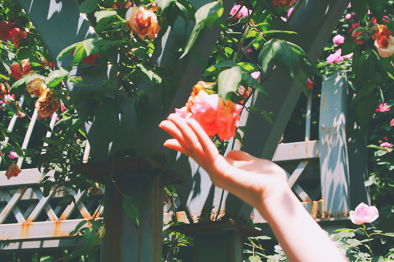 Nimo.All three times of beauty 