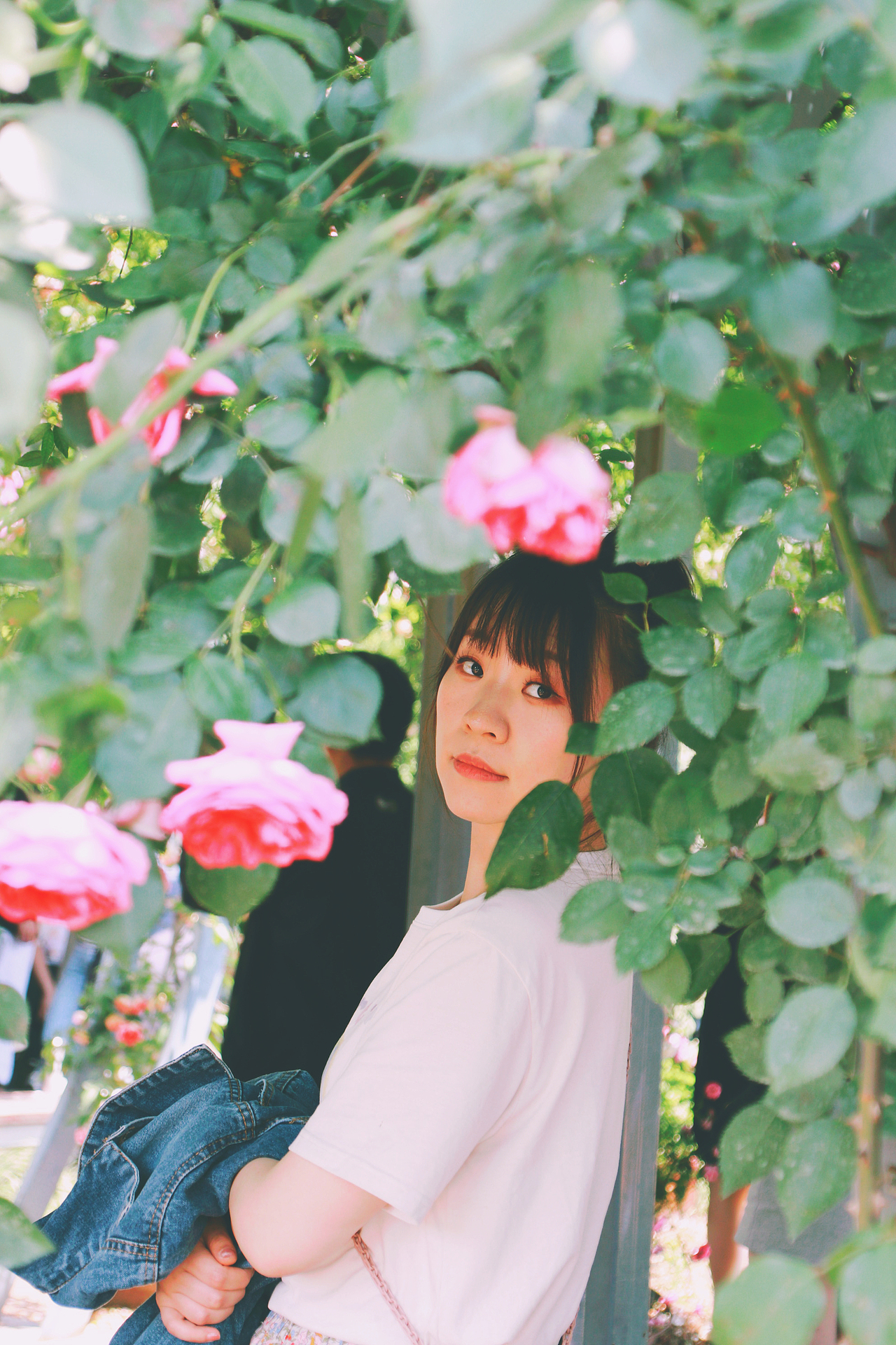 Nimo.All three times of beauty 