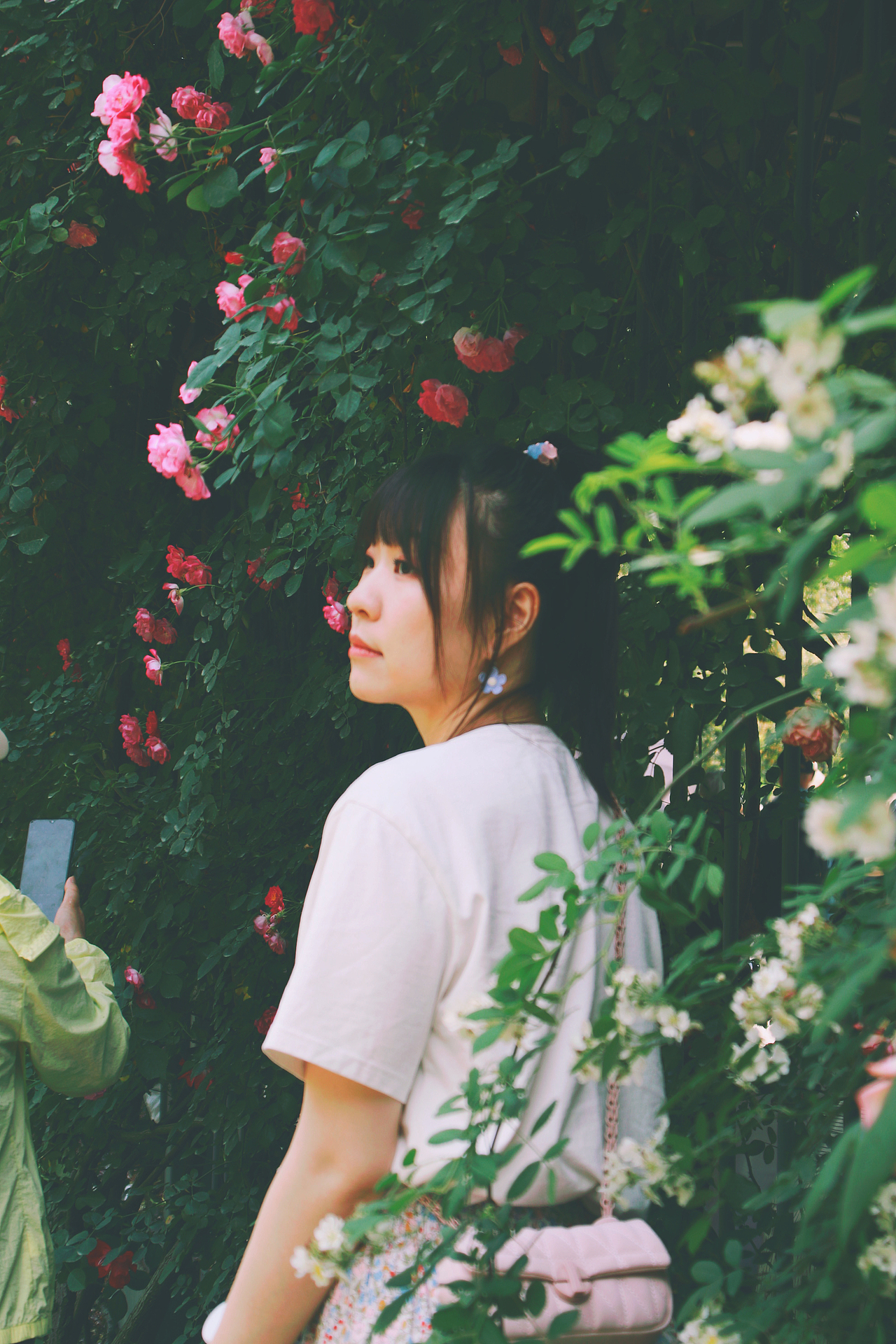 Nimo.All three times of beauty 