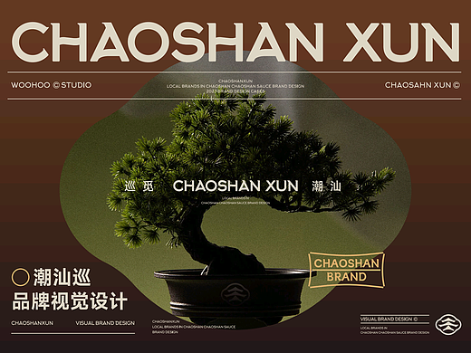 WOOHOO ｜ 潮汕巡 寻味潮汕 品牌VIS