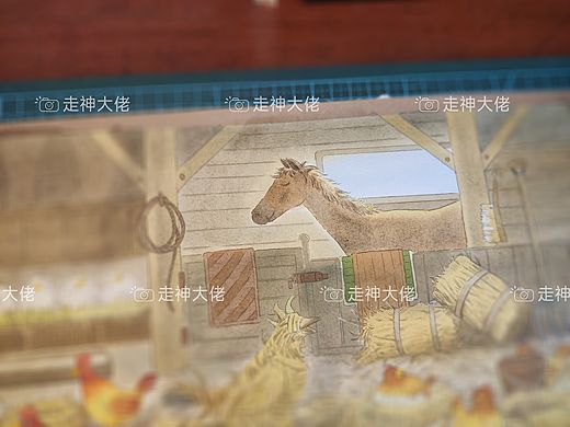 农场马厩里忙碌的公公鸡