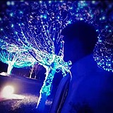 山中雨左的头像
