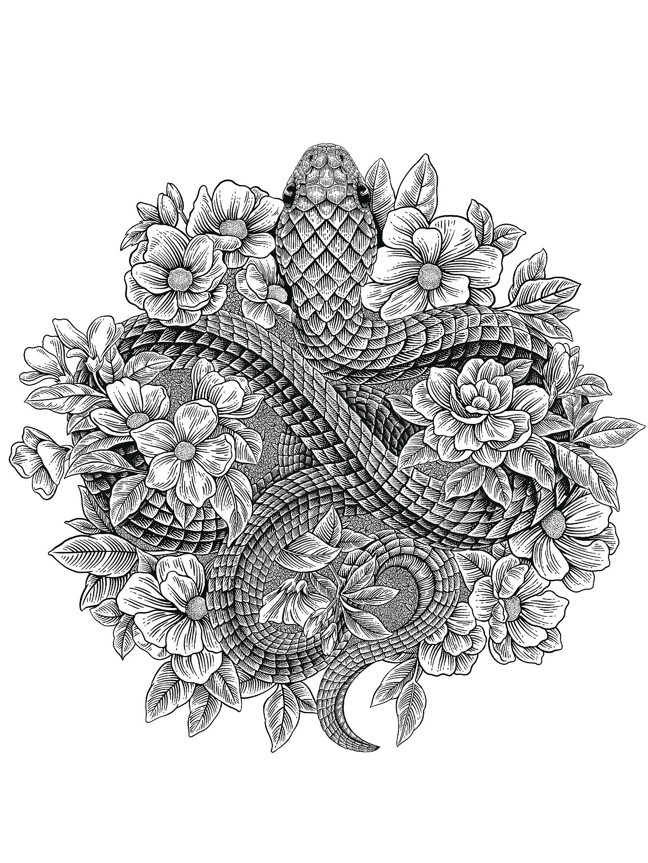 生肖——巳蛇（图ZMzgzNzkxMjk2） - 商业插画 - 站酷设计师家轩UA原创素材 - 站酷ZCOOL