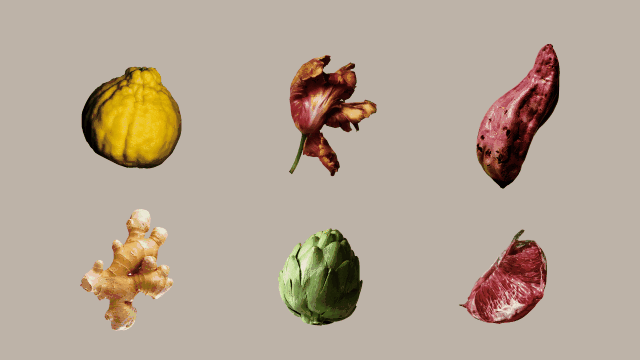 前意 SLEF MEANS丨向心探寻 向真前行