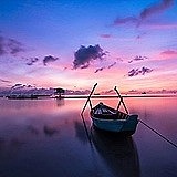 太安Taian的头像