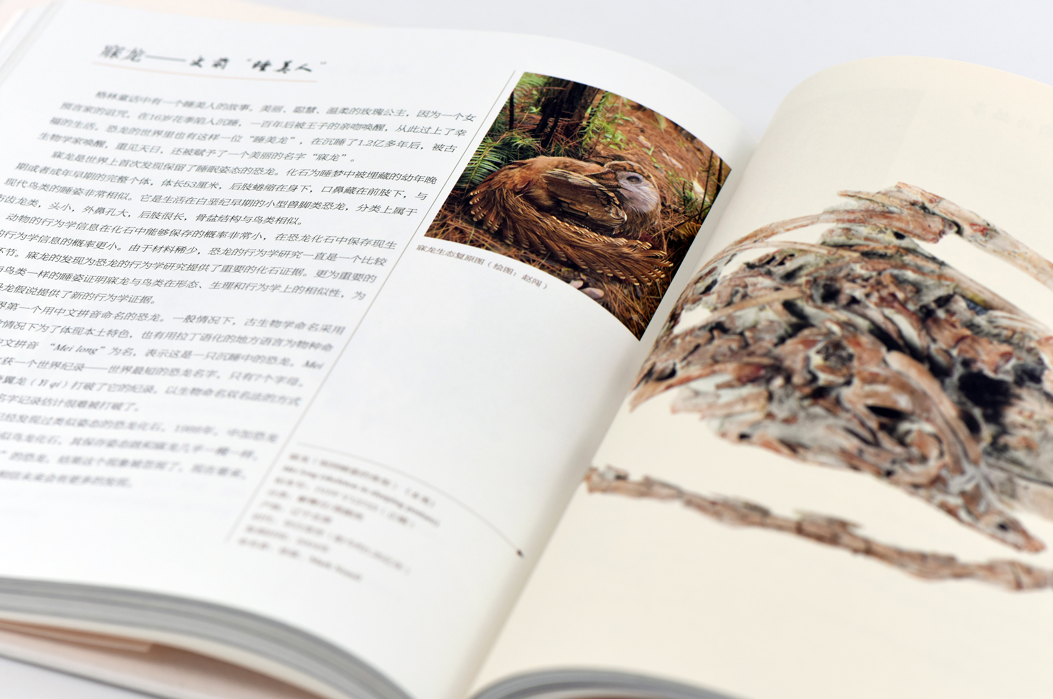 犀燭書坊:情怀,是人与书之间的桥梁(图ZMTUwMTAyNjg=) - 观点 - 站酷设计师站酷专访原创素材 - 站酷ZCOOL