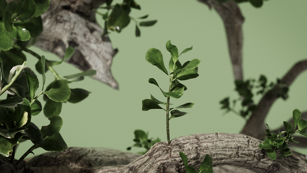 C4D猫王音箱动画制作渲染