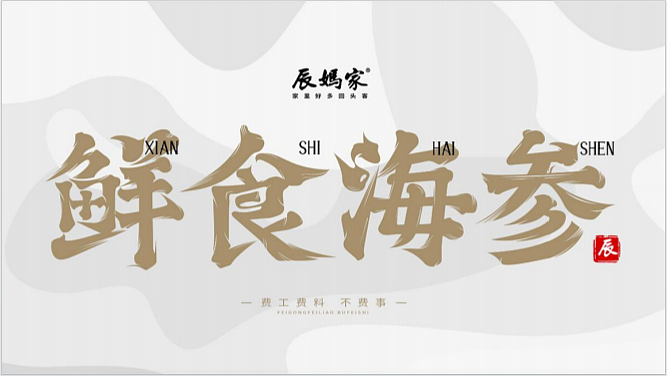 2024辰妈家鲜食海参单品包装设计-31P