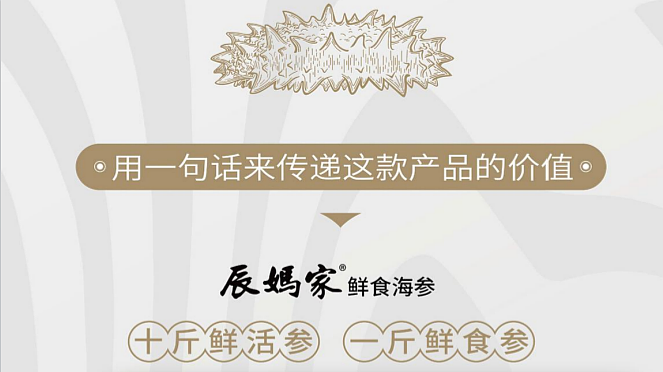 2024辰妈家鲜食海参单品包装设计-31P