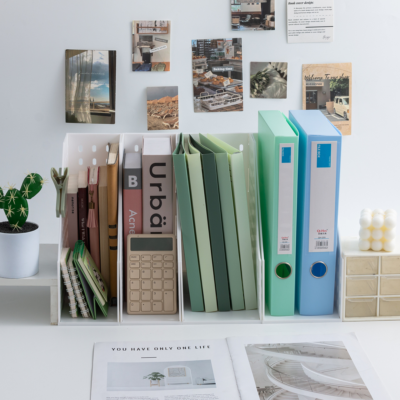 文具/白底/文件栏/简约/小清晰/学生用品/办公用品