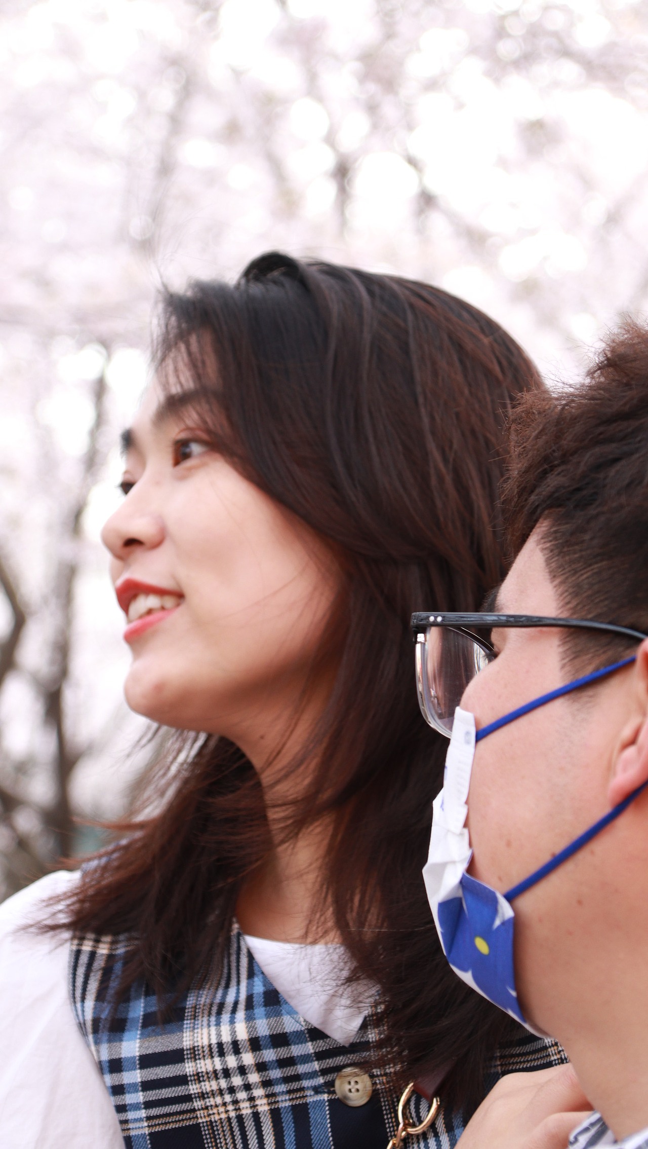 Lily 樱花树下的约定Sakura