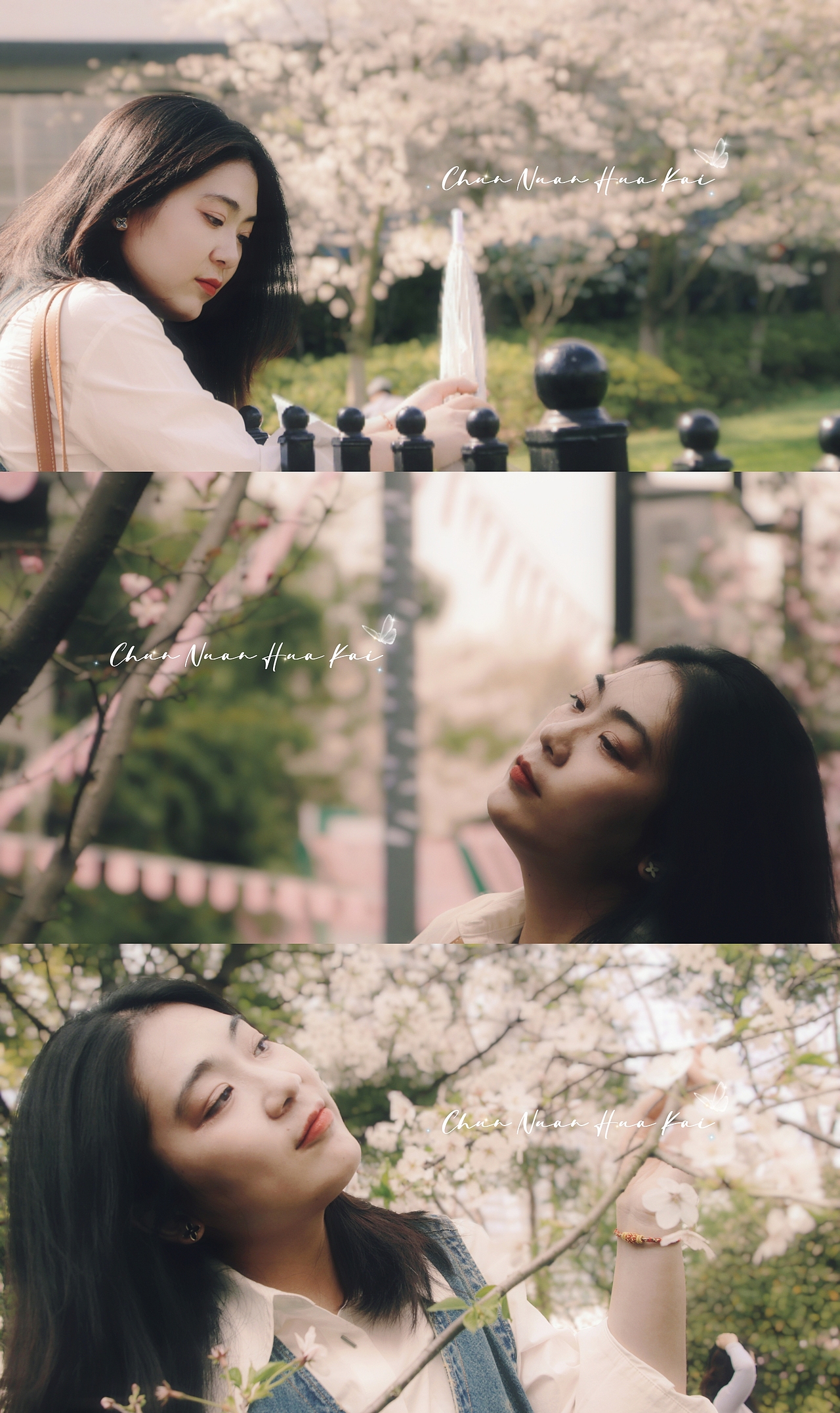 Lily 晚樱时节 公园Sakura