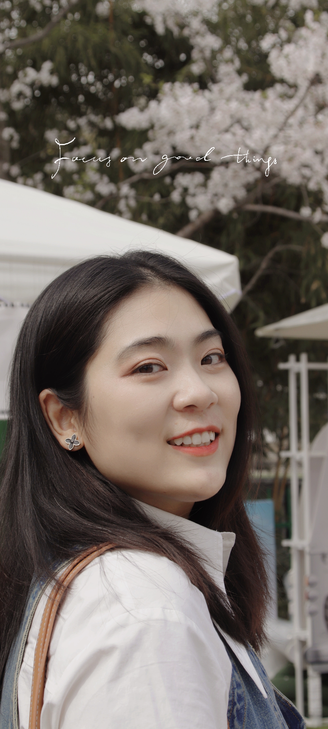 Lily 晚樱时节 公园Sakura