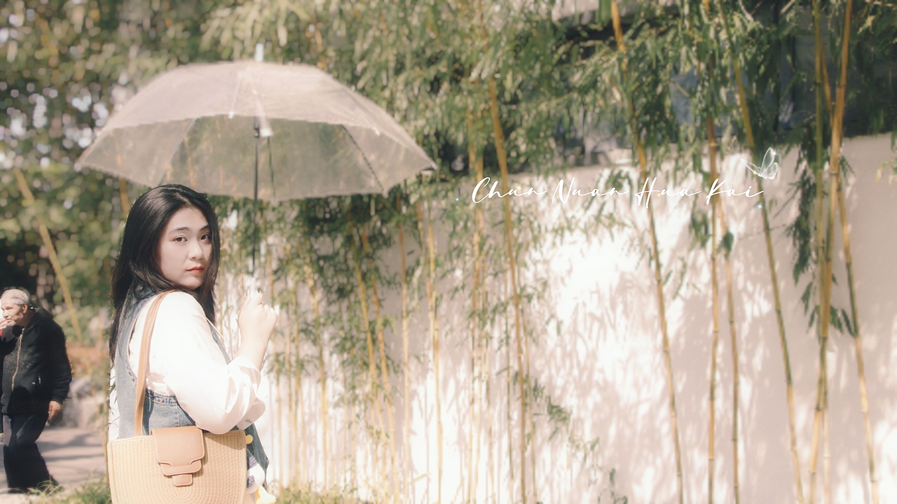 Lily 晚樱时节 公园Sakura