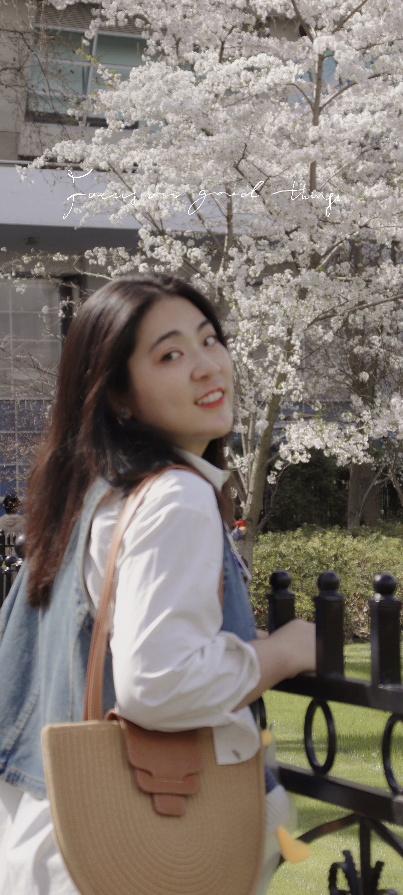 Lily 晚樱时节 公园Sakura