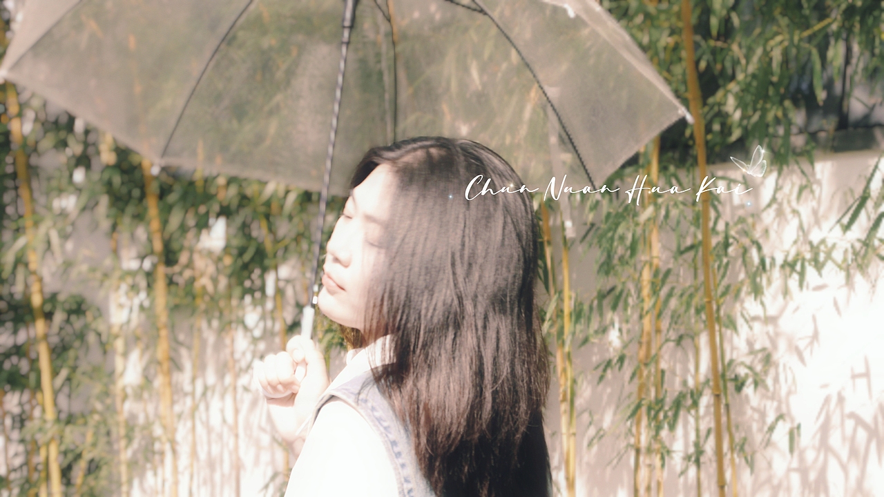 Lily 晚樱时节 公园Sakura