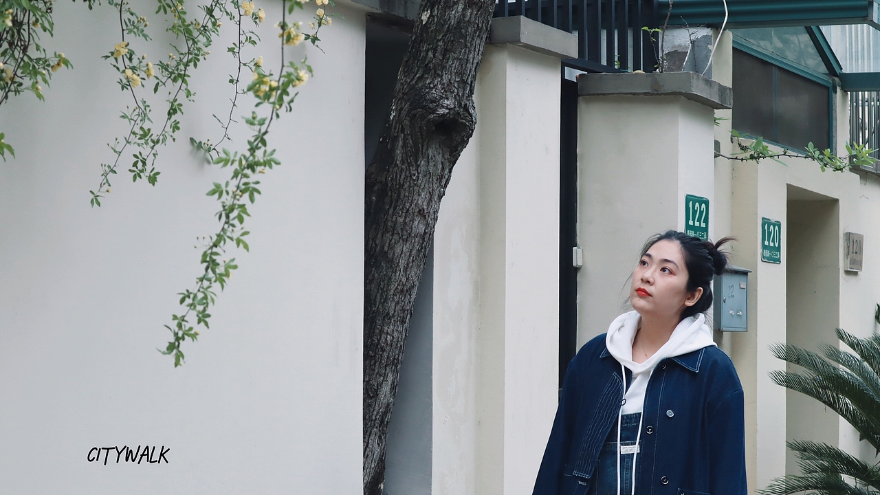 Lily 故事里的小黄花