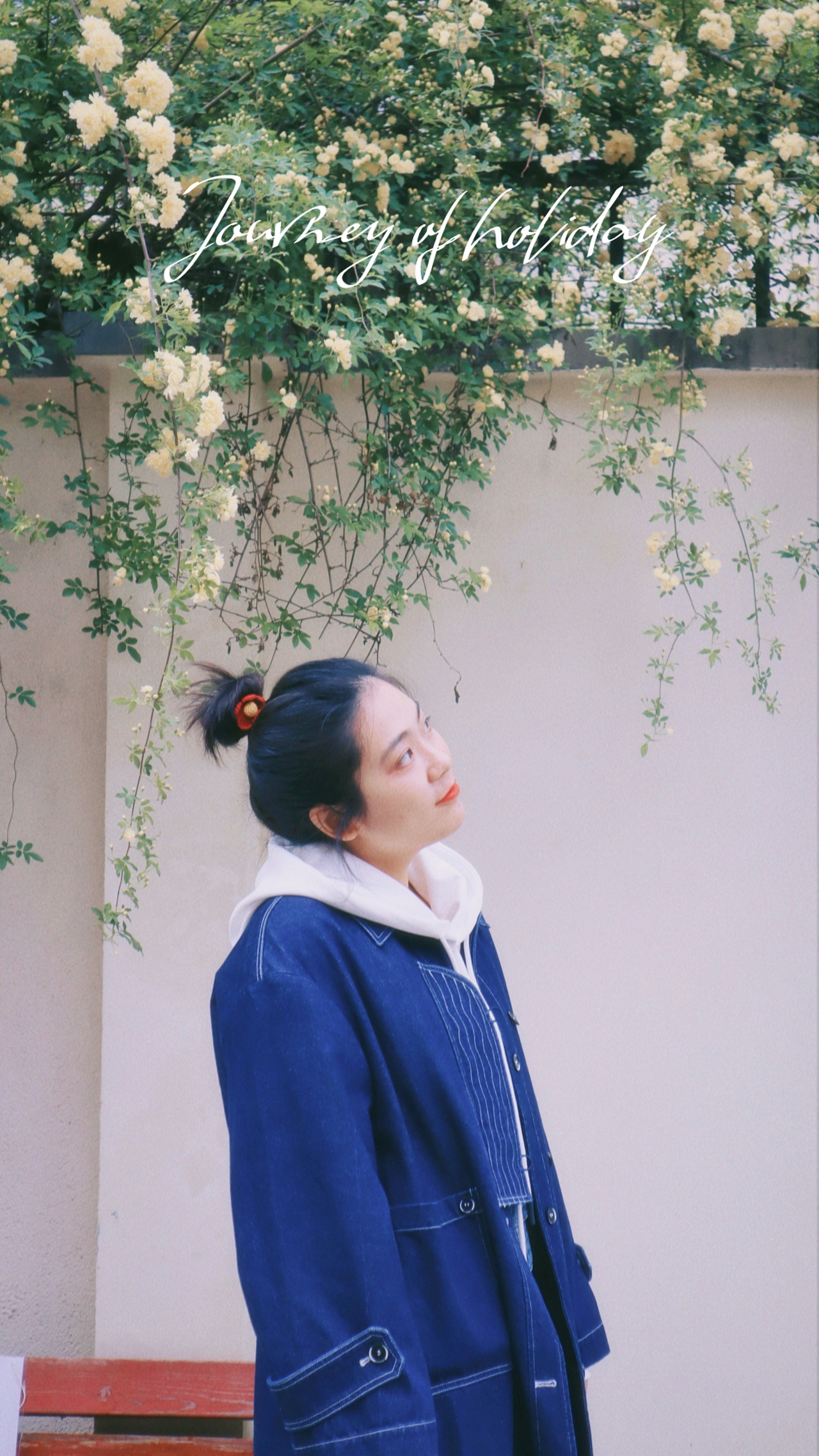 Lily 故事里的小黄花