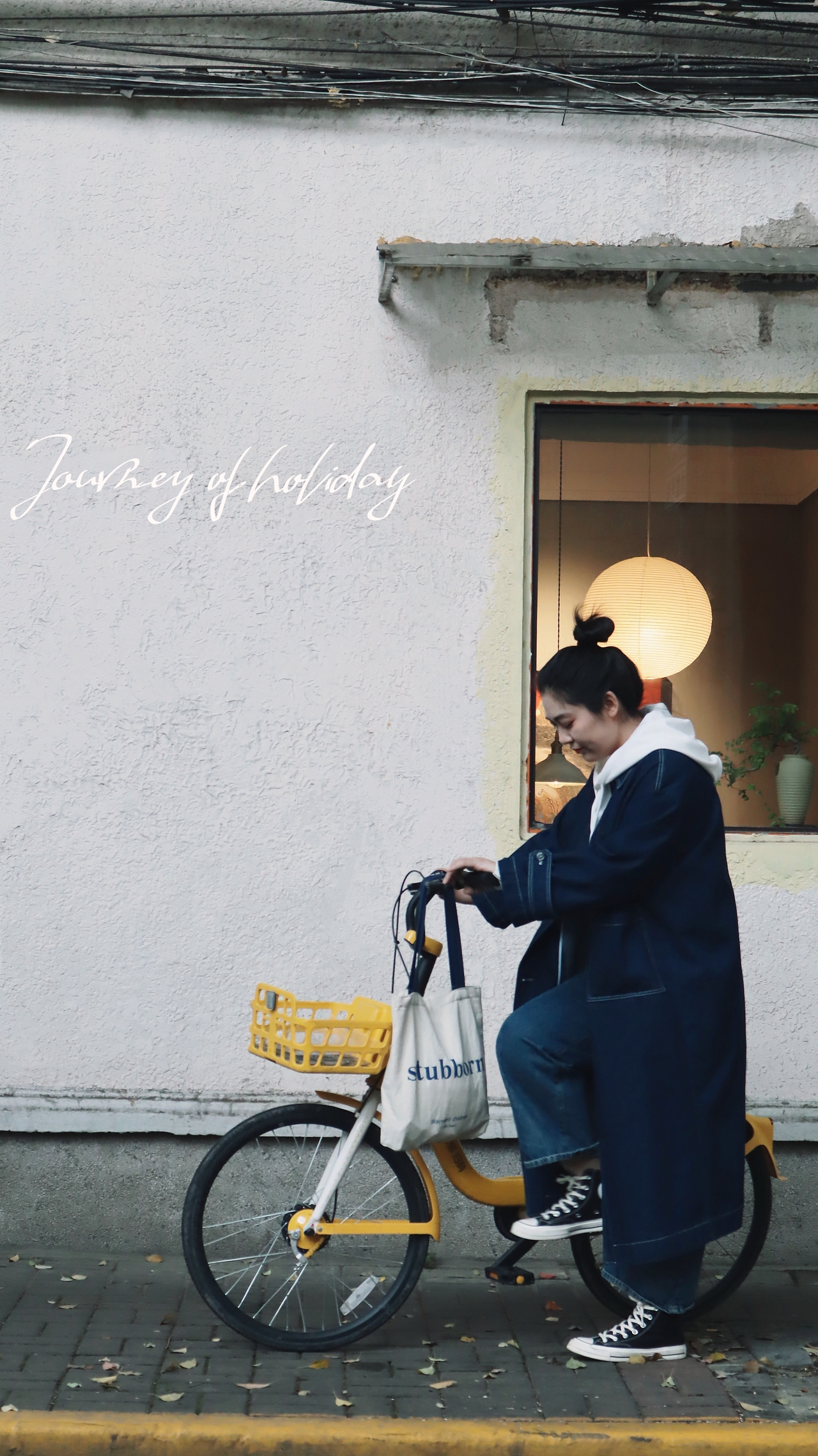 Lily 故事里的小黄花