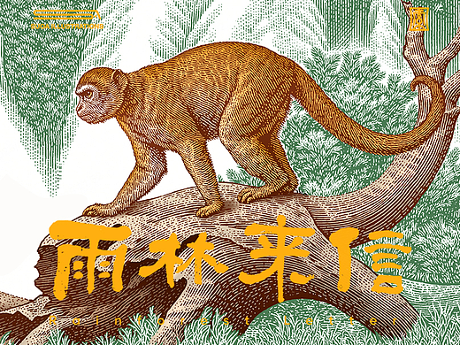 SUOA版画｜雨林来信·第二张
