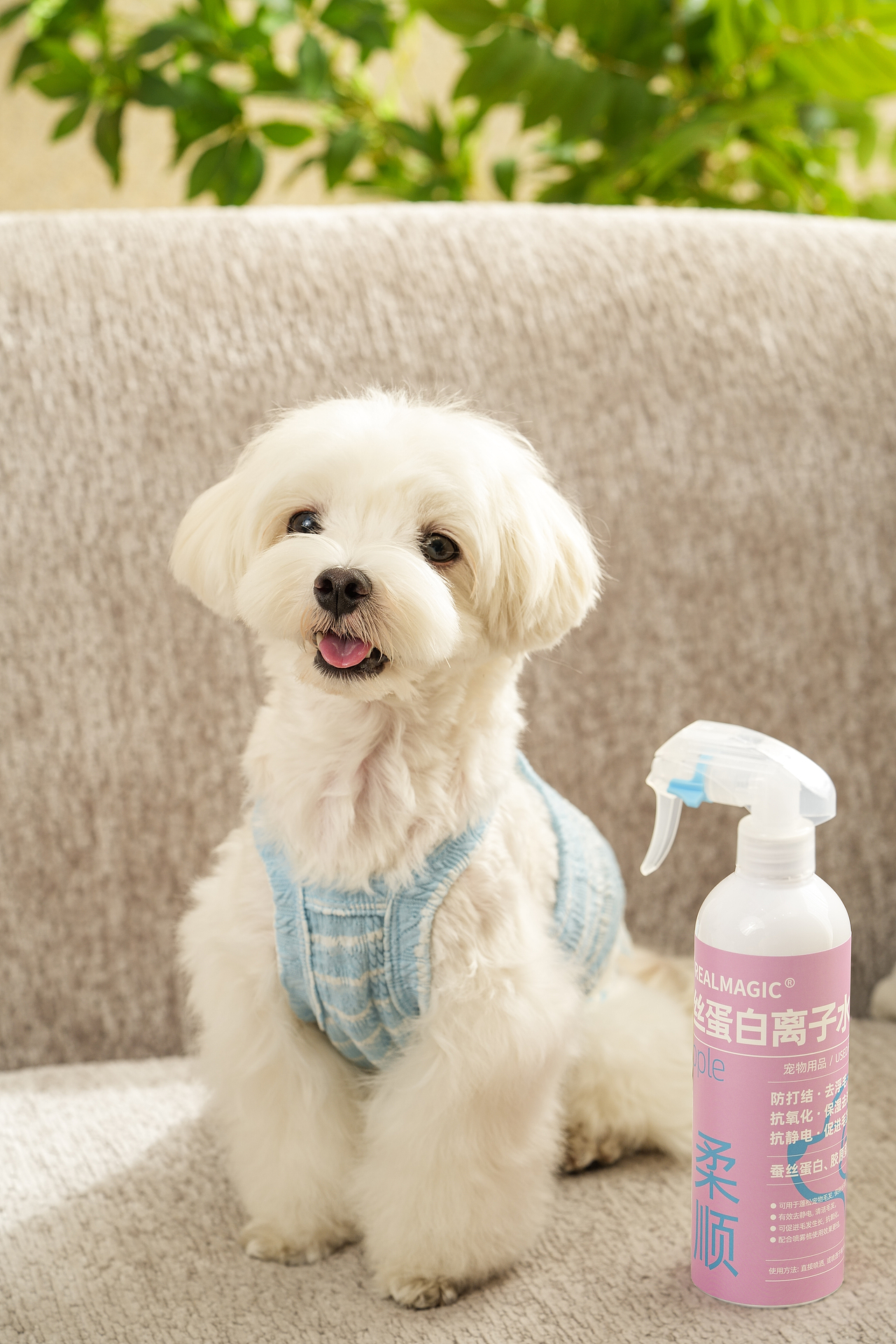宠物产品摄影｜它净宠物蚕丝蛋白喷雾拍摄（图ZMzgzOTI2Nzcy） - 产品摄影 - 站酷设计师Sq2Studio原创素材 - 站酷ZCOOL