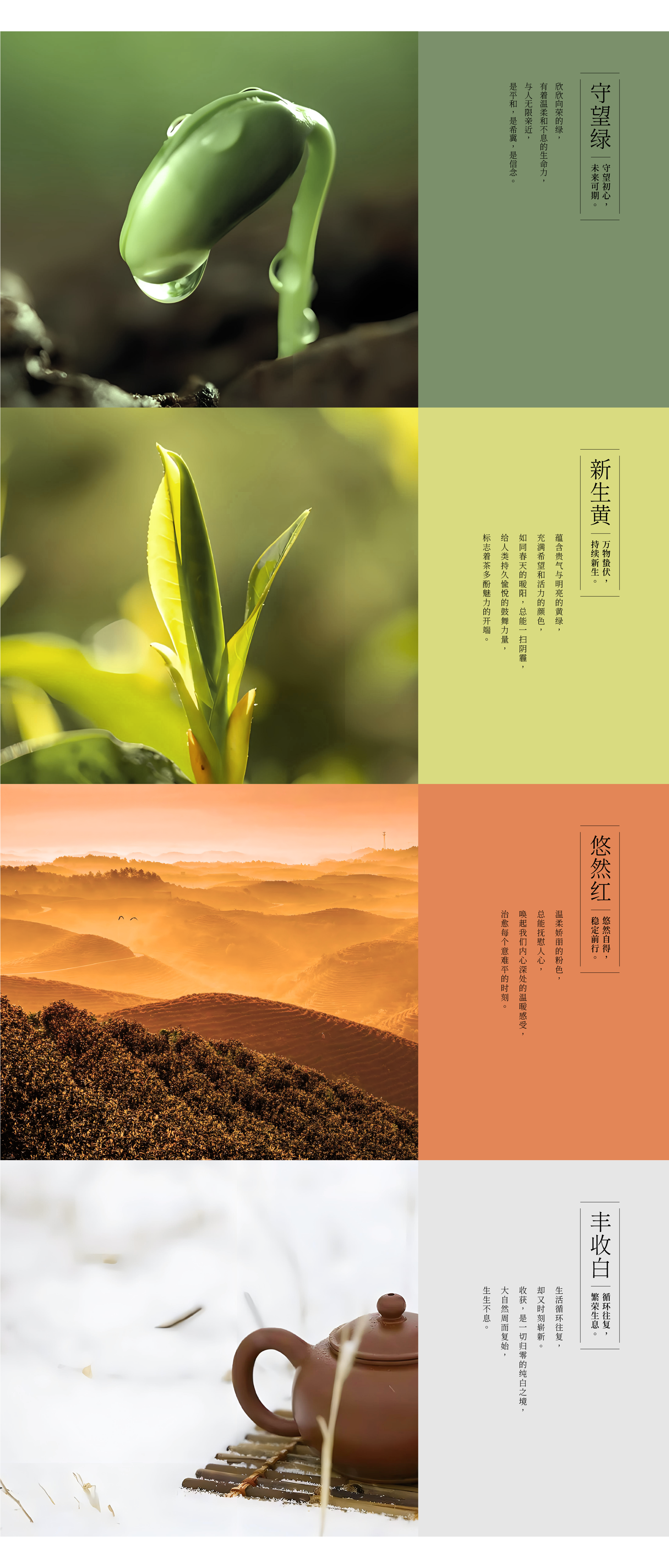 琢创意&times;豫茗良茶丨《豫茗古毛尖》茶品牌全案升级设计