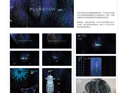 160193流浪者——长江浮游生物的虚拟化身
