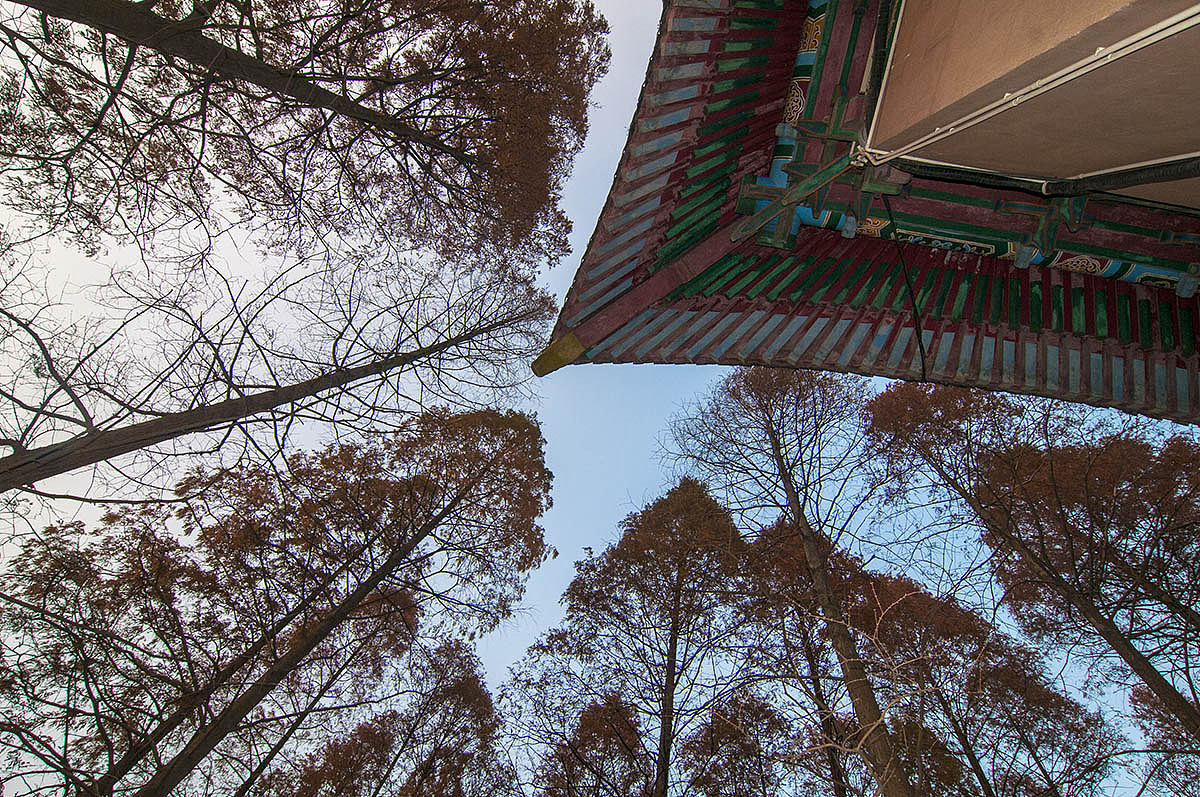 【建筑可阅读】旧上海特别市政府大楼（图ZMzgzOTQ5NzMy） - 环境/建筑摄影 - 站酷设计师老陆逍遥原创素材 - 站酷ZCOOL