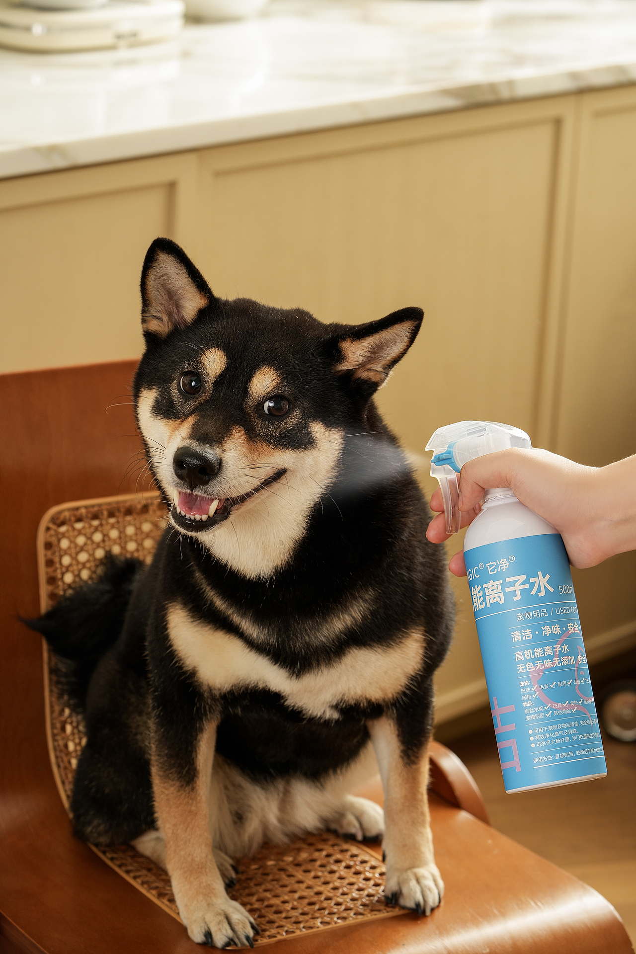 宠物用品摄影｜它净宠物高机能离子水拍摄（图ZMzgzOTczODgw） - 产品摄影 - 站酷设计师Sq2Studio原创素材 - 站酷ZCOOL