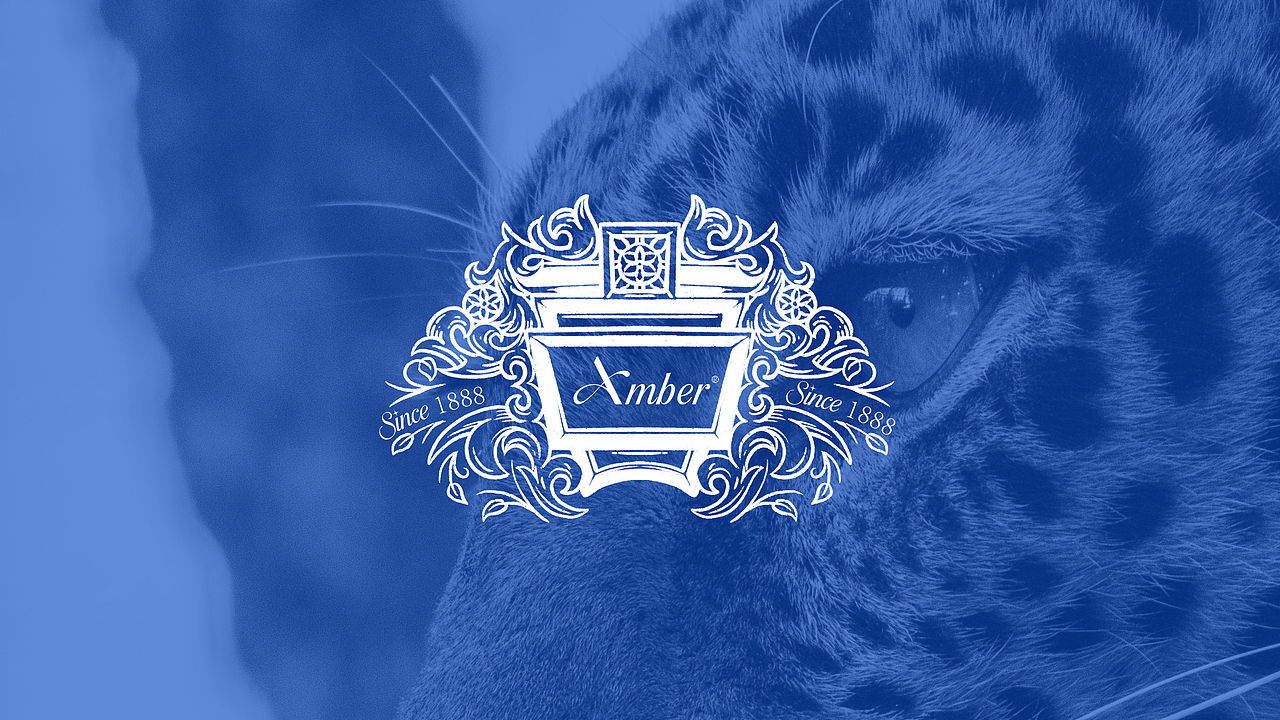 Amber | Brand Design
