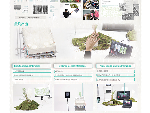 201083沼泽社会：未来沼泽植物和人类的关系