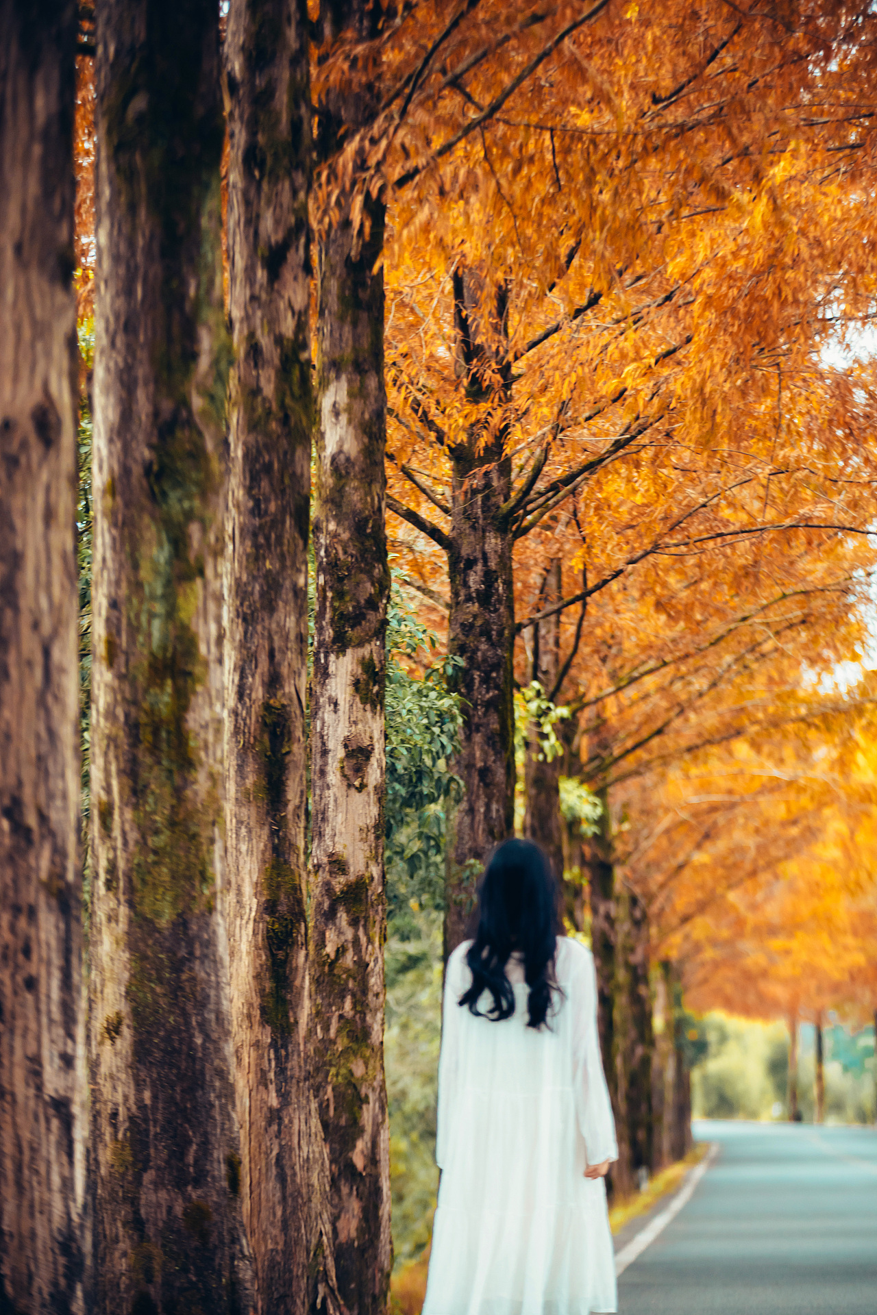 网红路人像（图ZMzg0MDQzOTAw） - 人像摄影 - 站酷设计师听说你也来过原创素材 - 站酷ZCOOL