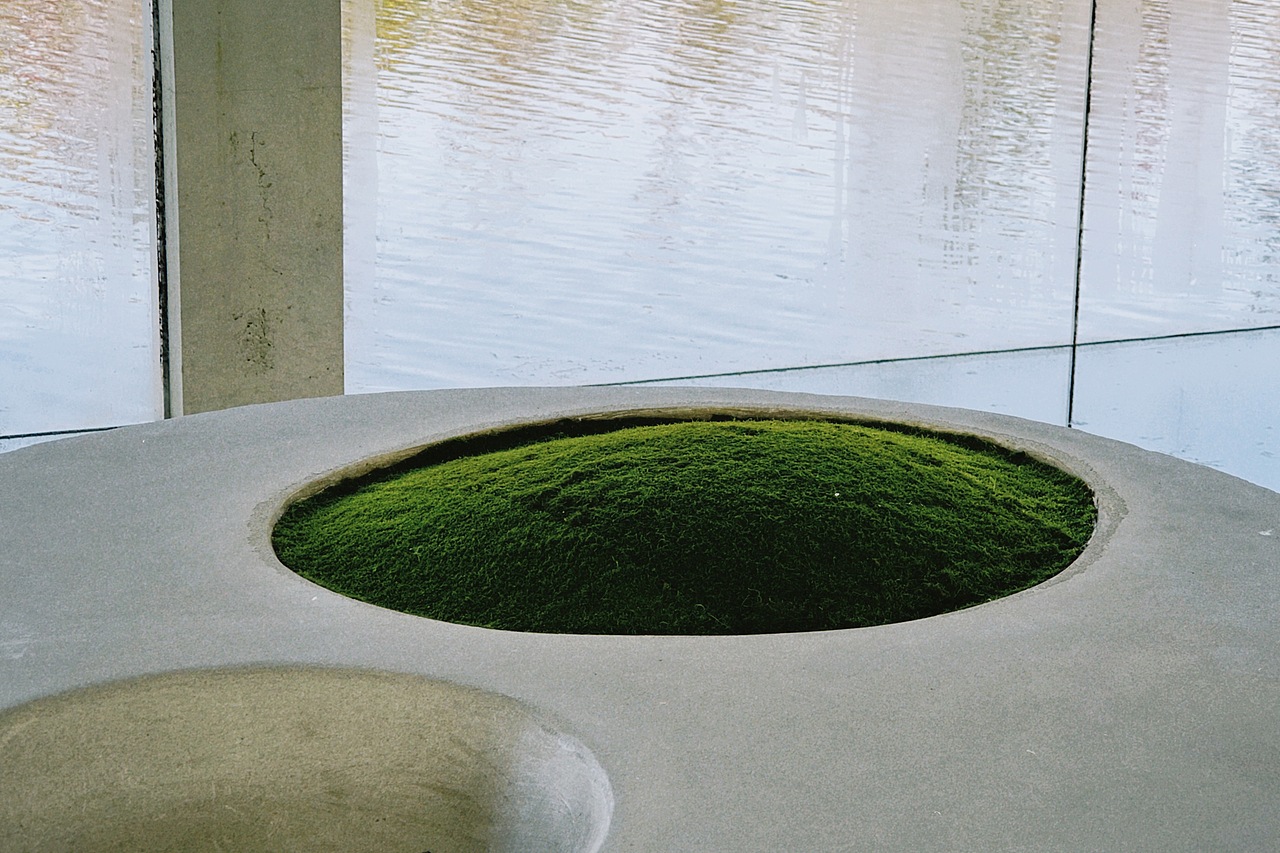 石上纯也 — 水上建筑（图ZMzg0MDU5MDg4） - 环境/建筑摄影 - 站酷设计师Cremaster原创素材 - 站酷ZCOOL