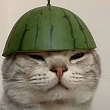 Maxo_的头像