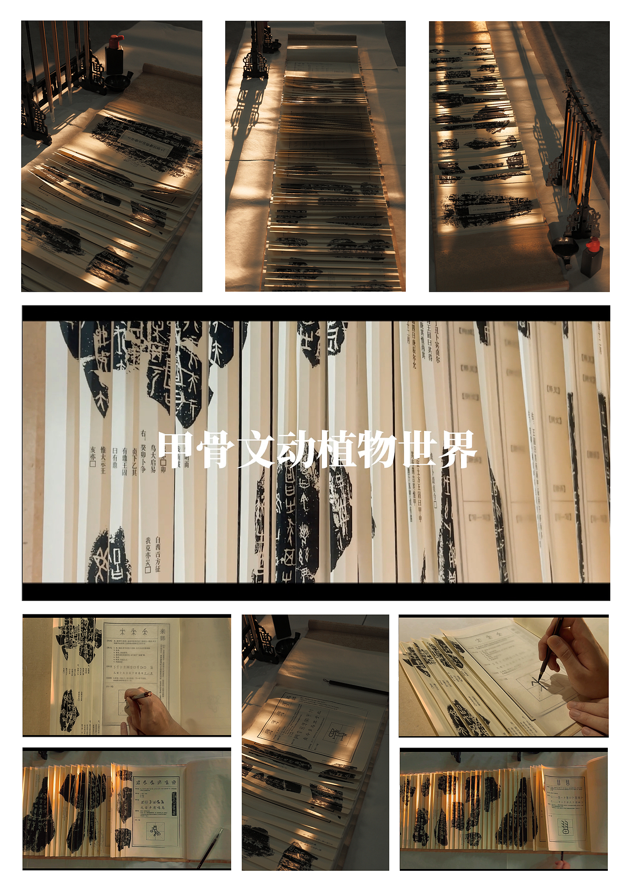 166944“甲骨文动植物世界”可书写式龙鳞装书籍设计