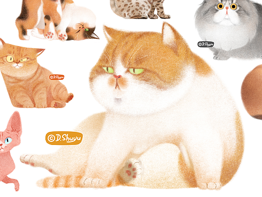 画猫猫