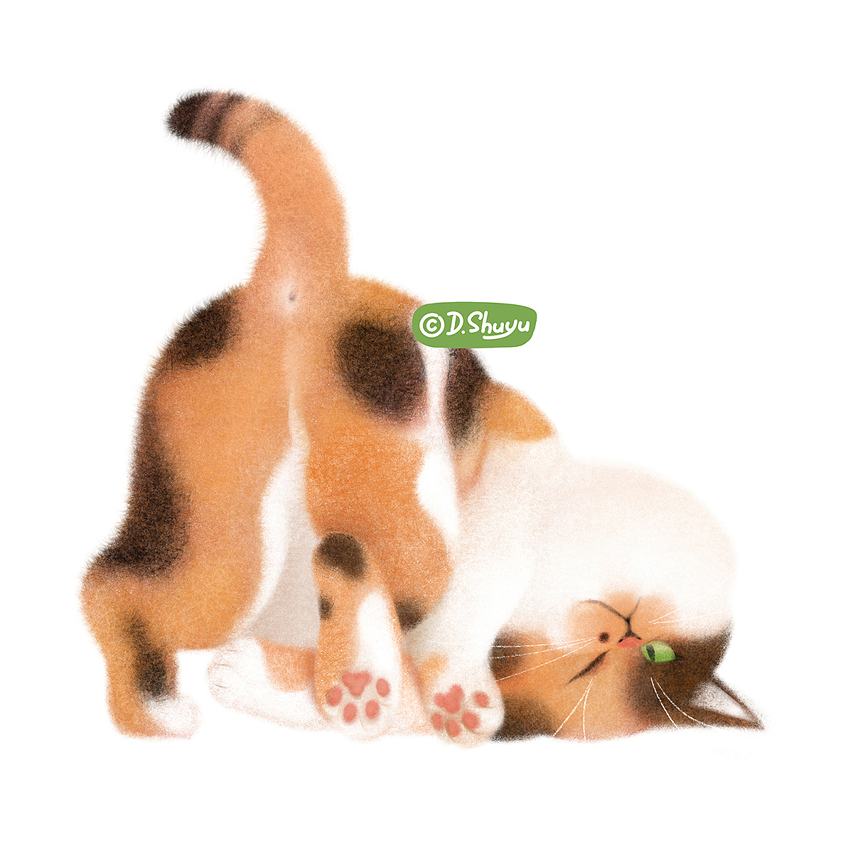 画猫猫（图ZMzg0MDkyMjMy） - 创作习作 - 站酷设计师鼠鱼DShuyu原创素材 - 站酷ZCOOL