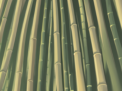 竹林1