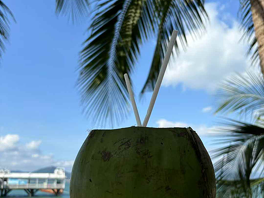 椰子（个人主页-ZNzEyMzg3ODg=） - 美食摄影 - 站酷设计师独家授权小李子阿原创素材 - 站酷ZCOOL