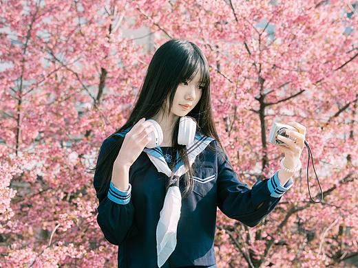 是冬日的樱花🌸