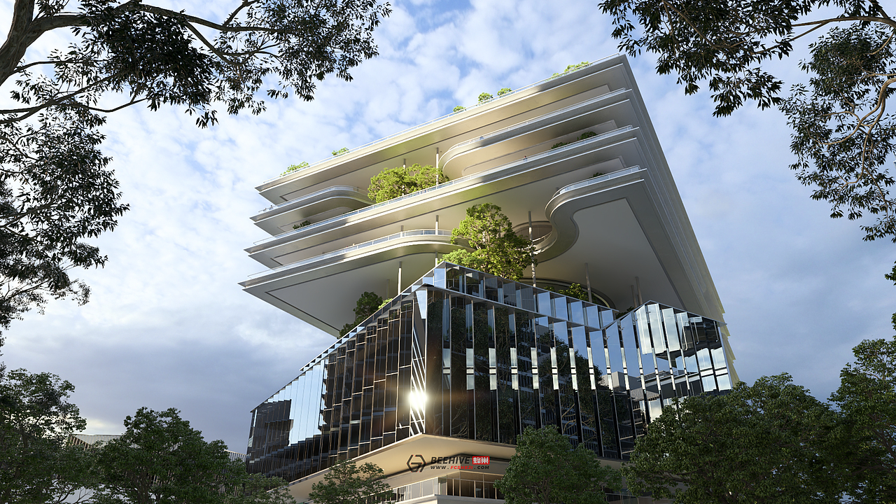 蜂巢动画 | 深港科创区